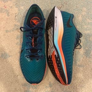 Nike Men’s Zoom Pegasus Turbo 2